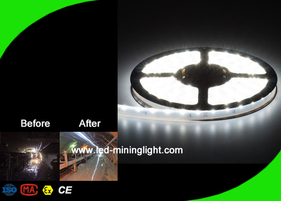 Lampu Strip Fleksibel LED 16W / M Lampu Pita LED Lumen Tinggi Layanan OEM ODM