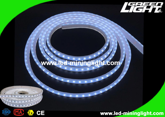 Explosion - Proof Safety Led Flexible Ribbon Strip Lights dengan 5m 300 Leds 24V IP68