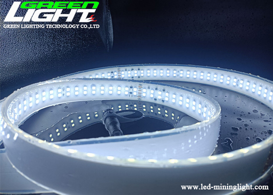 SMD2835 AC110V LED Neon Strip Lights Warna Putih Silicone Double Row
