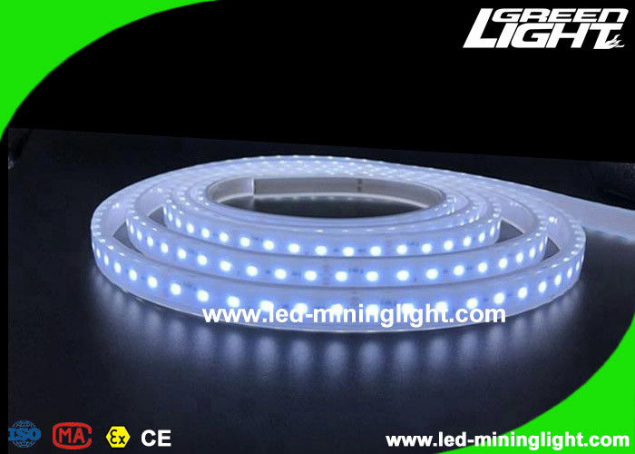Explosion - Proof Safety Led Flexible Ribbon Strip Lights dengan 5m 300 Leds 24V IP68